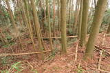 日向 野首城の写真