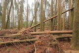 日向 野首城の写真