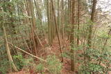 日向 野首城の写真