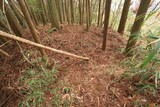 日向 野首城の写真