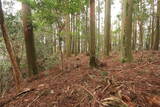 日向 野首城の写真