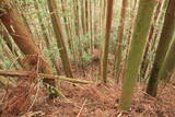 日向 野首城の写真
