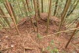 日向 野首城の写真