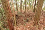 日向 野首城の写真