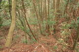 日向 野首城の写真