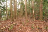 日向 野首城の写真