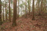 日向 野首城の写真