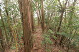 日向 野首城の写真