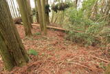 日向 野首城の写真