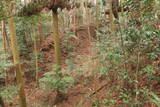 日向 野首城の写真