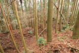 日向 野首城の写真