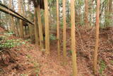 日向 野首城の写真