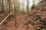 日向 野首城の写真