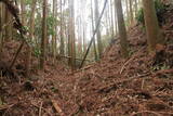 日向 野首城の写真