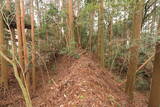 日向 野首城の写真