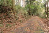 日向 野首城の写真
