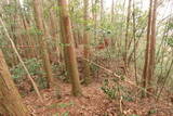 日向 野首城の写真