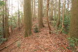 日向 野首城の写真