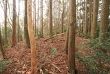 日向 野首城の写真