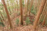 日向 野首城の写真
