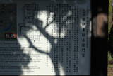 日向 飫肥城の写真