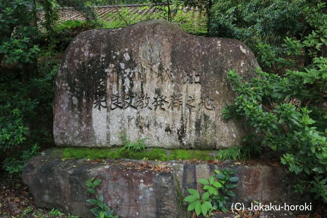 日向 小川城の写真