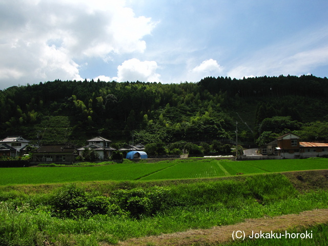 日向 尾野見城の写真