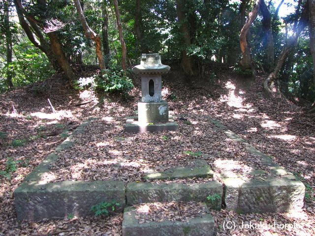 日向 志布志城(松尾城)の写真