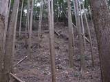 日向 新城の写真
