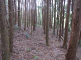 日向 新城の写真