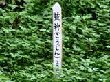 日向 志和池城の写真