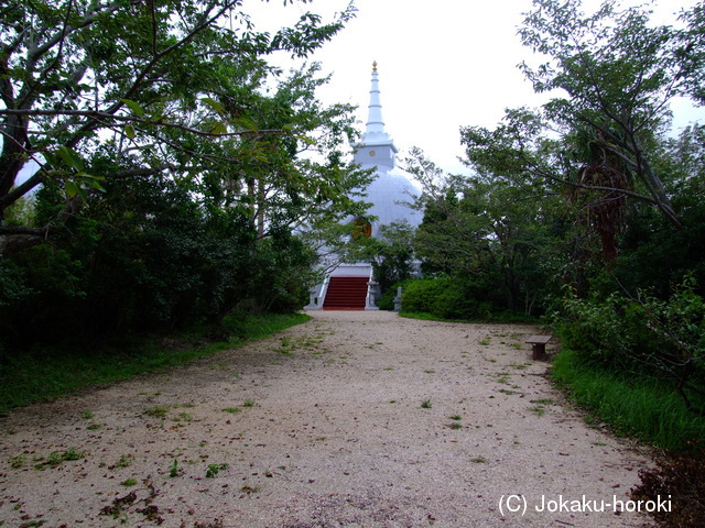 日向 紫波洲崎城の写真