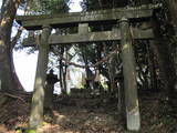 日向 庄手城の写真