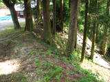 日向 松山城の写真