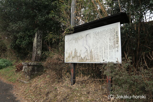 日向 高原城の写真