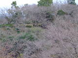 日向 高岡城の写真