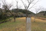 日向 田野城の写真