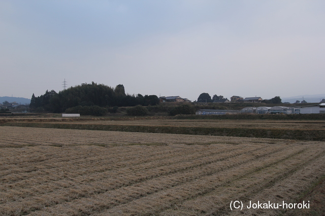 日向 田之上城の写真