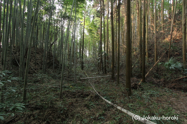 日向 徳満城の写真