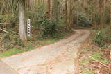 日向 内木場城の写真