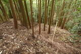 伊賀 福持九郎城の写真