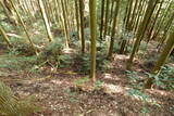 伊賀 福持九郎城の写真