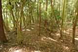 伊賀 福持九郎城の写真