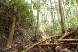伊賀 行者山城の写真