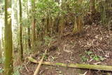 伊賀 行者山城の写真
