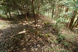 伊賀 行者山城の写真