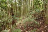 伊賀 行者山城の写真