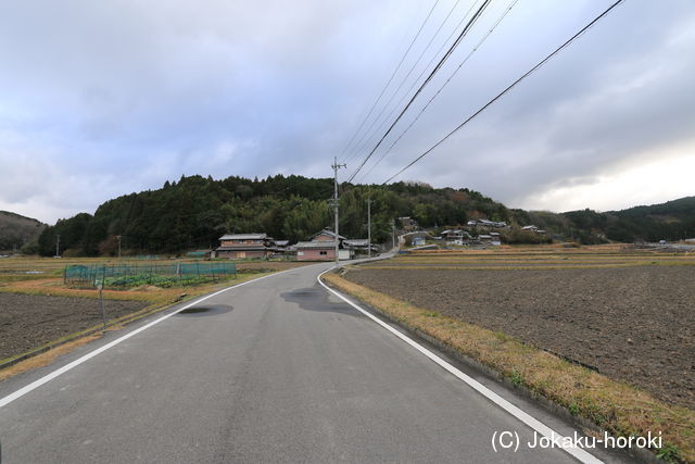 伊賀 下山甲斐守城(比奈知)の写真