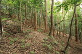 伊賀 春日山城の写真