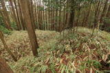 伊賀 北畠具親城の写真